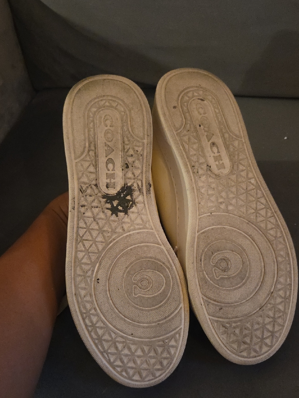Cherry Coach Sneaker - Picture 4 of 6